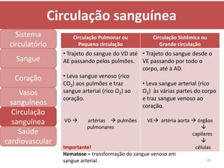 Circulação sanguínea
   Sistema           Circulação Pulmonar ou          Circulação Sistémica ou
 circulatório          Pequena circulação               Grande circulação
                 • Trajeto do sangue do VD até • Trajeto do sangue desde o
   Sangue        AE passando pelos pulmões. VE passando por todo o
                                               corpo, até à AD.
   Coração       • Leva sangue venoso (rico
                 CO2) aos pulmões e traz       • Leva sangue arterial (rico
     Vasos       sangue arterial (rico O2) ao  O2) às várias partes do corpo
                 coração.                      e traz sangue venoso ao
 sanguíneos                                    coração.
  Circulação
  sanguínea      VD      artérias  pulmões      VE artéria aorta  órgãos
                          pulmonares                                    
    Saúde                                                           capilares
cardiovascular                                                          
                 Importante!                                         células
                 Hematose – transformação do sangue venoso em
                 sangue arterial.                                          10
 