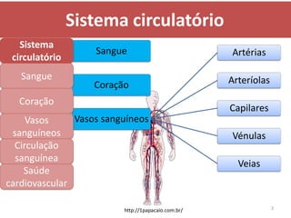 Sistema circulatório
   Sistema
                   Sangue                           Artérias
 circulatório
   Sangue                                           Arteríolas
                   Coração
  Coração
                                                    Capilares
     Vasos     Vasos sanguíneos
 sanguíneos                                         Vénulas
  Circulação
  sanguínea
                                                      Veias
    Saúde
cardiovascular

                                                                 2
                         http://1papacaio.com.br/
 