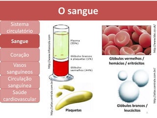 O sangue
   Sistema




                                                                                                           http://www.bbc.co.uk/
 circulatório


                 http://www.infoescola.com
   Sangue

   Coração
                                                                                  Glóbulos vermelhos /
                                                                                  hemácias / eritrócitos
     Vasos




                                                                                                           http://atlas.centralx.com.br/
 sanguíneos
  Circulação
                                     http://atlas.centralx.com.br/




  sanguínea
    Saúde
cardiovascular
                                                                                      Glóbulos brancos /
                                                                      Plaquetas           leucócitos 3
 