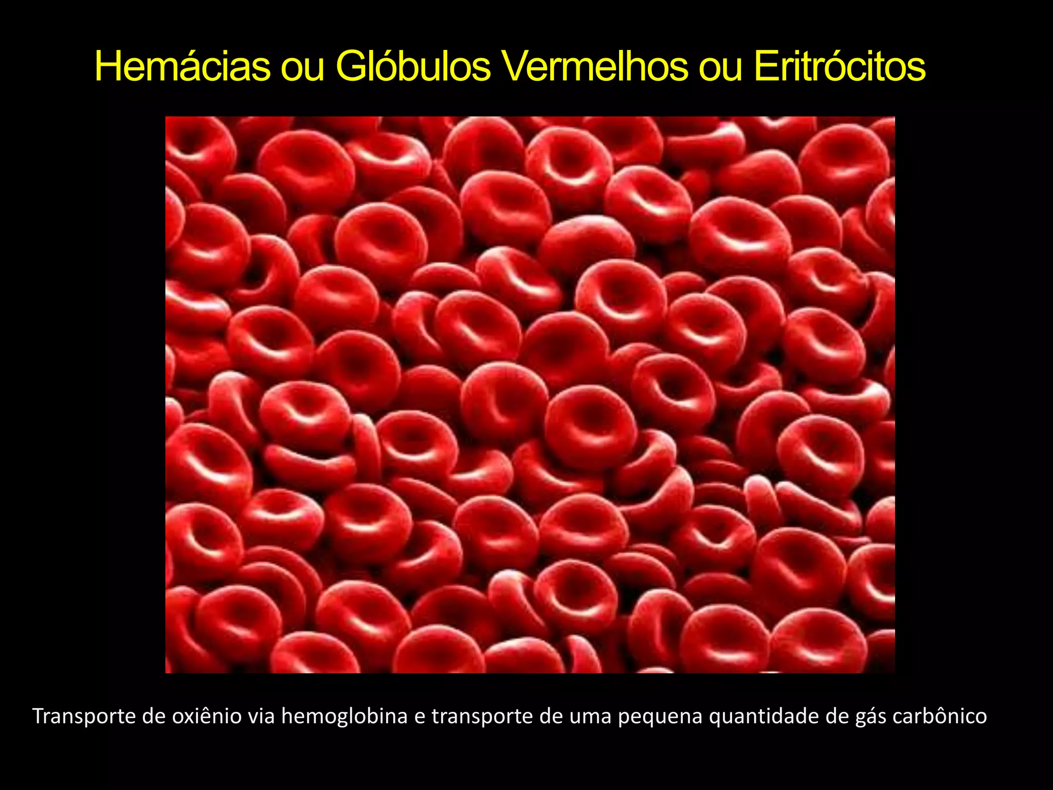 Hemácias ou Glóbulos Vermelhos ou EritrócitosTransporte de oxiênio via hemoglobina e transporte de uma pequena quantidade de gás carbônico