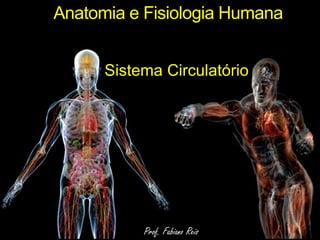 Anatomia e Fisiologia Humana Sistema Circulatório Prof. Fabiano Reis 