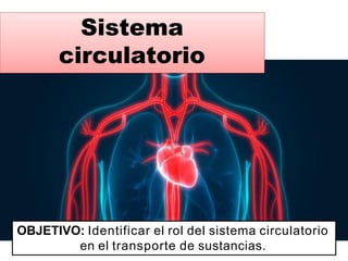 Sistema
circulatorio
OBJETIVO: Identificar el rol del sistema circulatorio
en el transporte de sustancias.
 