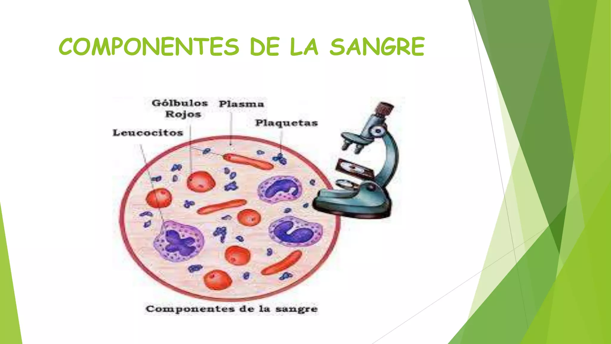 COMPONENTES DE LA SANGRE 
 