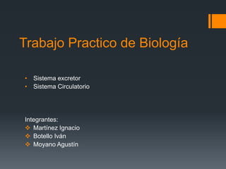 Trabajo Practico de Biología
• Sistema excretor
• Sistema Circulatorio

Integrantes:
 Martínez Ignacio
 Botello Iván
 Moyano Agustín

 