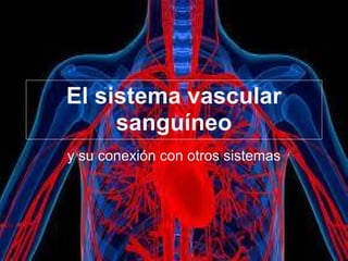 El sistema vascular
sanguíneo
y su conexión con otros sistemas
 