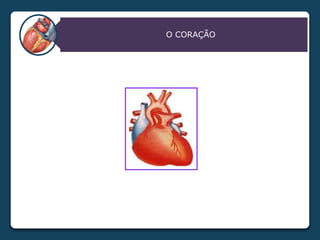 O CORAÇÃO
 