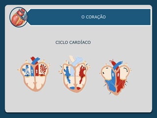 O CORAÇÃO
CICLO CARDÍACO
 