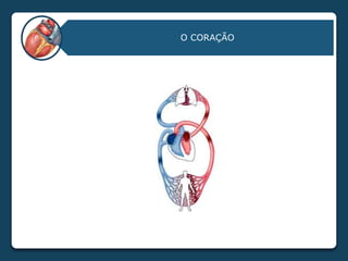 O CORAÇÃO
 