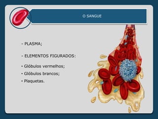 O SANGUE
- PLASMA;
- ELEMENTOS FIGURADOS:
• Glóbulos vermelhos;
• Glóbulos brancos;
• Plaquetas.
 