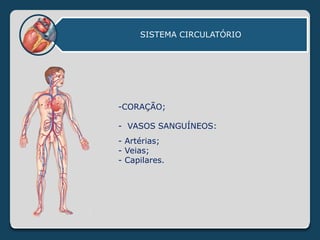 SISTEMA CIRCULATÓRIO
-CORAÇÃO;
- VASOS SANGUÍNEOS:
- Artérias;
- Veias;
- Capilares.
 