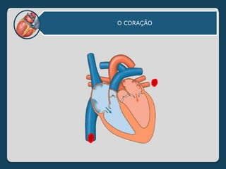 O CORAÇÃO
 