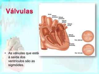 VálvulasAaurícula esquerda comunica com o ventrículo esquerdo através da válvula mitral.