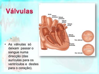 VálvulasA aurícula direita comunica com o ventrículo direito através da válvula tricúspide.