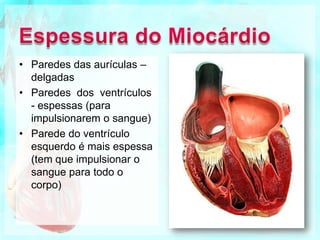 VálvulasAs válvulas que estão à saída dos ventrículos são as sigmóides.