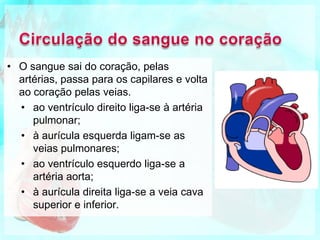 Funcionamento do Coração