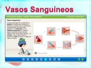 Funcionamento do Coração