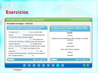  Ciclo Cardíaco O que acontece dentro do coração?Cada ciclo cardíaco é caracterizado por contracções sucessivas das aurículas e dos ventrículos, seguidas pelo relaxamento geral, quando o sangue entra no coração.
