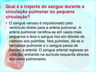 Cuidados a ter com o Sistema Circulatório