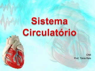 Sistema Circulatório CN6 Prof. Tânia Reis 