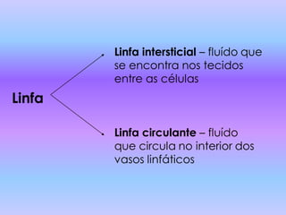 Linfa intersticial – fluído que
        se encontra nos tecidos
        entre as células
Linfa

        Linfa circulante – fluído
        que circula no interior dos
        vasos linfáticos
 