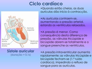 Ciclo cardíaco
                     •Quando estão cheias, as duas
                     aurículas dão início à contracção.

                     •As aurículas contraem-se,
                     aumentando a pressão arterial,
                     estando os ventrículos relaxados.

                     •A pressão é menor. Como
                     consequência desta diferença de
                     pressão, as válvulas tricúspide e
                     bicúspide abrem-se totalmente e o
                     sangue preenche os ventrículos.

Sístole auricular    •A pressão intraventricular aumenta
  (duração = 0,1s)   rapidamente; as válvulas tricúspide e
                     bicúspide fecham-se (1.º ruído
                     cardíaco), impedindo o refluxo de
                     sangue para as aurículas.
 