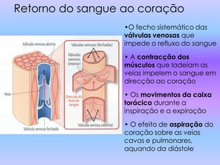 Retorno do sangue ao coração
                  •O fecho sistemático das
                  válvulas venosas que
                  impede o refluxo do sangue

                  • A contracção dos
                  músculos que ladeiam as
                  veias impelem o sangue em
                  direcção ao coração

                  • Os movimentos da caixa
                  torácica durante a
                  inspiração e a expiração

                  • O efeito de aspiração do
                  coração sobre as veias
                  cavas e pulmonares,
                  aquando da diástole
 