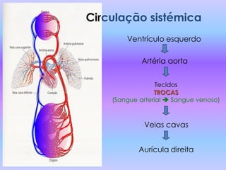 Circulação sistémica
        Ventrículo esquerdo

             Artéria aorta


                  Tecidos
                 TROCAS
    (Sangue arterial  Sangue venoso)



             Veias cavas


            Aurícula direita
 