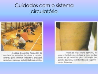 Cuidados com o sistema
     circulatório
 