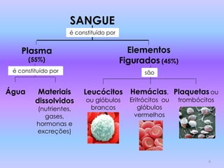 SANGUE
                     é constituído por


    Plasma                                 Elementos
       (55%)                             Figurados (45%)
 é constituído por                              são


Água      Materiais       Leucócitos       Hemácias, Plaquetas ou
         dissolvidos       ou glóbulos     Eritrócitos ou   trombócitos
         (nutrientes,       brancos           glóbulos
           gases,                            vermelhos
         hormonas e
         excreções)



                                                                     4
 