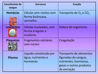 Constituinte do           Estrutura                  Função
   sangue
 Hemácias         Células sem núcleo com    Transporte de O2 e CO2
                  forma bicôncava,
                  vermelha
 Leucócitos       Células nucleadas, com    Defesa do organismo
                  forma irregular e
                  incolores
 Plaquetas        Fragmentos celulares      Coagulação
                  sem núcleo

                  Líquido constituído por   Transporte de elementos
   Plasma         água, nutrientes e        figurados do sangue,
                  hormonas                  nutrientes, hormonas,
                                            gases e outros produtos
                                            de excreção
 