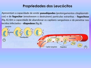 Propriedades dos Leucócitos
 