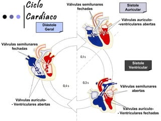 Ciclo Cardíaco Sístole Auricular Sístole Ventrícular Diástole Geral Válvulas semilunares fechadas Válvulas aurículo- - Ventriculares abertas Válvulas semilunares abertas Válvulas aurículo- -ventriculares abertas Válvulas semilunares fechadas Válvulas aurículo- - Ventriculares fechadas 