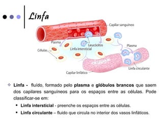 Linfa Linfa -  fluído, formado pelo  plasma  e  glóbulos brancos  que saem dos capilares sanguíneos para os espaços entre as células. Pode classificar-se em:  Linfa intersticial  - preenche os espaços entre as células. Linfa circulante  – fluido que circula no interior dos vasos linfáticos.  