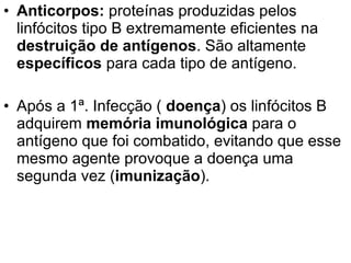 Anticorpos:  proteínas produzidas pelos linfócitos tipo B extremamente eficientes na  destruição de antígenos . São altamente  específicos  para cada tipo de antígeno. Após a 1ª. Infecção (  doença ) os linfócitos B adquirem  memória imunológica  para o antígeno que foi combatido, evitando que esse mesmo agente provoque a doença uma segunda vez ( imunização ).  