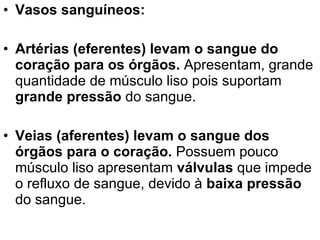 Vasos sanguíneos:  Artérias (eferentes) levam o sangue do coração para os órgãos.  Apresentam, grande quantidade de músculo liso pois suportam  grande pressão  do sangue. Veias (aferentes) levam o sangue dos órgãos para o coração.  Possuem pouco músculo liso apresentam  válvulas  que impede o refluxo de sangue, devido à  baixa pressão  do sangue. 