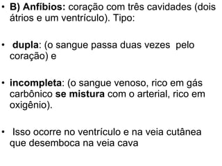 B) Anfíbios:  coração com três cavidades (dois átrios e um ventrículo). Tipo: dupla : (o sangue passa duas vezes  pelo coração) e incompleta : (o sangue venoso, rico em gás carbônico  se mistura  com o arterial, rico em oxigênio).  Isso ocorre no ventrículo e na veia cutânea que desemboca na veia cava 