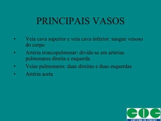 PRINCIPAIS VASOS Veia cava superior e veia cava inferior: sangue venoso do corpo Artéria troncopulmonar: divide-se em artérias pulmonares direita e esquerda Veias pulmonares: duas direitas e duas esquerdas Artéria aorta 