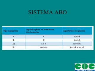 SISTEMA ABO 
