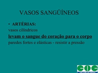 VASOS SANGÜÍNEOS ARTÉRIAS: vasos cilíndricos levam o sangue do coração para o corpo paredes fortes e elásticas - resistir a pressão 