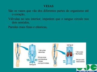 VEIAS São os vasos que vão dos diferentes partes do organismo até o coração, Válvulas no seu interior, impedem que o sangue circule nos dois sentidos, Paredes mais finas e elásticas, 