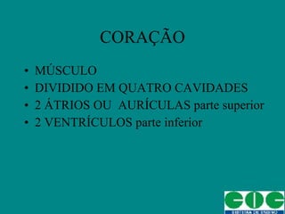 CORAÇÃO MÚSCULO DIVIDIDO EM QUATRO CAVIDADES 2 ÁTRIOS OU  AURÍCULAS parte superior 2 VENTRÍCULOS parte inferior 