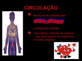 CIRCULAÇÃO Assim sai do coração pela   artéria pulmonar e chega aos pulmões. Aqui liberta o dióxido de carbono,  que será expulso do organismo, e recebe oxigénio. 
