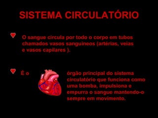 SISTEMA CIRCULATÓRIO O sangue circula por todo o corpo em tubos chamados vasos sanguíneos (artérias, veias e vasos capilares ). É o   órgão principal do sistema circulatório que funciona como uma bomba, impulsiona e empurra o sangue mantendo-o sempre em movimento. 