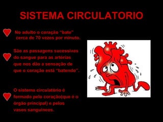 SISTEMA CIRCULATORIO No adulto o coração “bate” cerca de 70 vezes por minuto. São as passagens sucessivas do sangue para as artérias que nos dão a sensação de que o coração está “batendo”. O sistema circulatório é formado pelo coração(que é o órgão principal) e pelos vasos sanguíneos. 