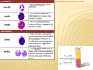 http://aodisseiadosangue.blogspot.com/2011/01/blog-post.html
 