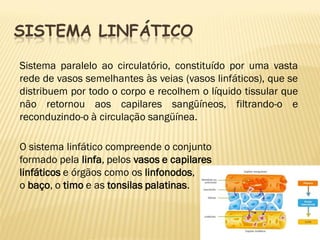 SISTEMA LINFÁTICO

Sistema paralelo ao circulatório, constituído por uma vasta
rede de vasos semelhantes às veias (vasos linfáticos), que se
distribuem por todo o corpo e recolhem o líquido tissular que
não retornou aos capilares sangüíneos, filtrando-o e
reconduzindo-o à circulação sangüínea.

O sistema linfático compreende o conjunto
formado pela linfa, pelos vasos e capilares
linfáticos e órgãos como os linfonodos,
o baço, o timo e as tonsilas palatinas.
 
