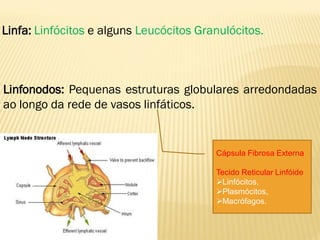 Linfa: Linfócitos e alguns Leucócitos Granulócitos.



Linfonodos: Pequenas estruturas globulares arredondadas
ao longo da rede de vasos linfáticos.


                                         Cápsula Fibrosa Externa

                                         Tecido Reticular Linfóide
                                         Linfócitos,
                                         Plasmócitos,
                                         Macrófagos.
 