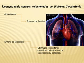 Doenças mais comuns relacionadas ao Sistema Circulatório

 Aneurismas


                        Ruptura de Artérias




 Enfarte do Miocárdio

                                   Obstrução das artérias
                                   coronárias pelo acumulo de
                                   colesterol e/ou coágulos.
 