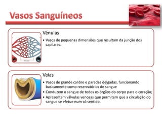 Vénulas
• Vasos de pequenas dimensões que resultam da junção dos
  capilares.




Veias
• Vasos de grande calibre e paredes delgadas, funcionando
  basicamente como reservatórios de sangue
• Conduzem o sangue de todos os órgãos do corpo para o coração;
• Apresentam válvulas venosas que permitem que a circulação do
  sangue se efetue num só sentido.
 