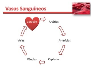 Coração   Artérias




Veias                        Arteríolas




        Vénulas   Capilares
 